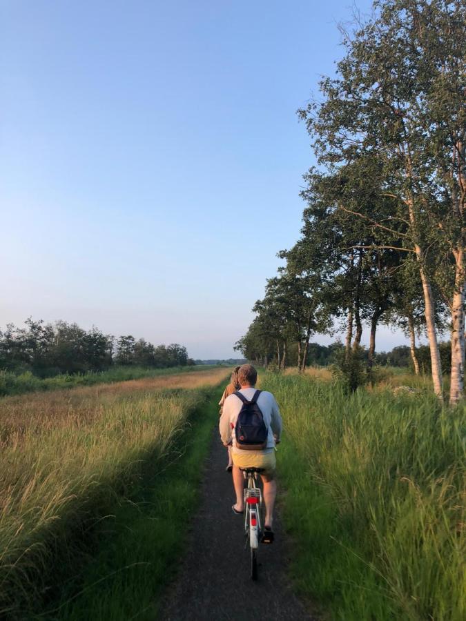 Wereldse Bell Tenten Met Alpaca'S Paasloo Bagian luar foto